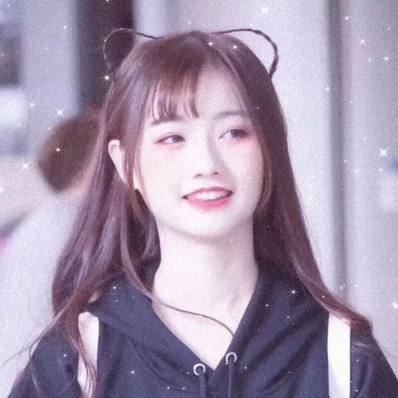 新十二生肖 封面