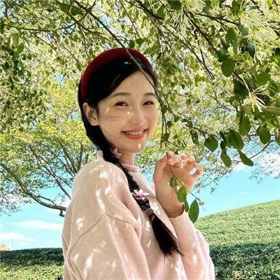 狐之歌 封面