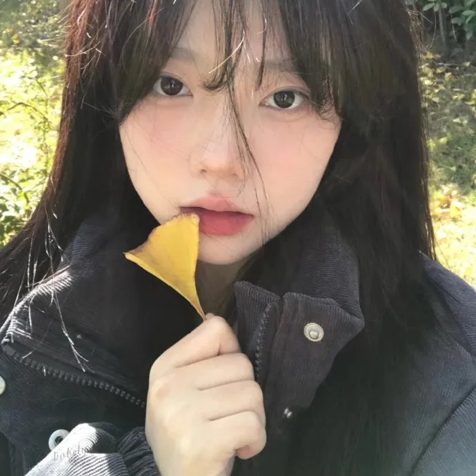 噬血芭蕾 封面
